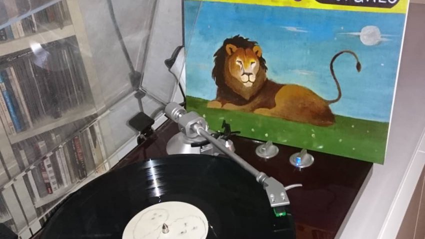 Wave pictures album 2018