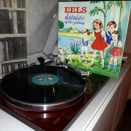 Eels Daisies 2000